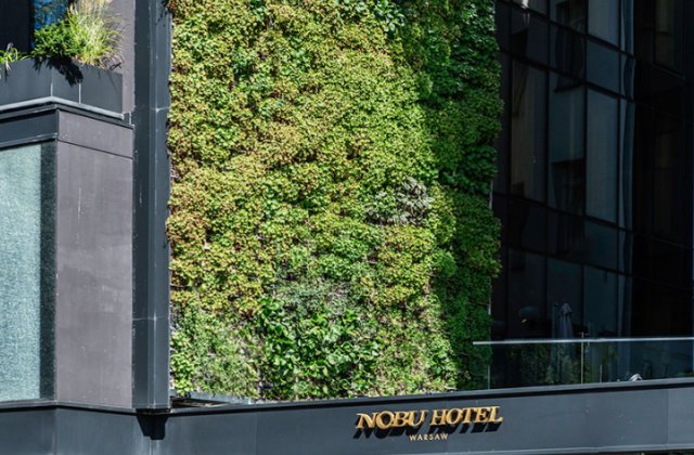 zielona-sciana-hotel-nobu_5651058.jpg